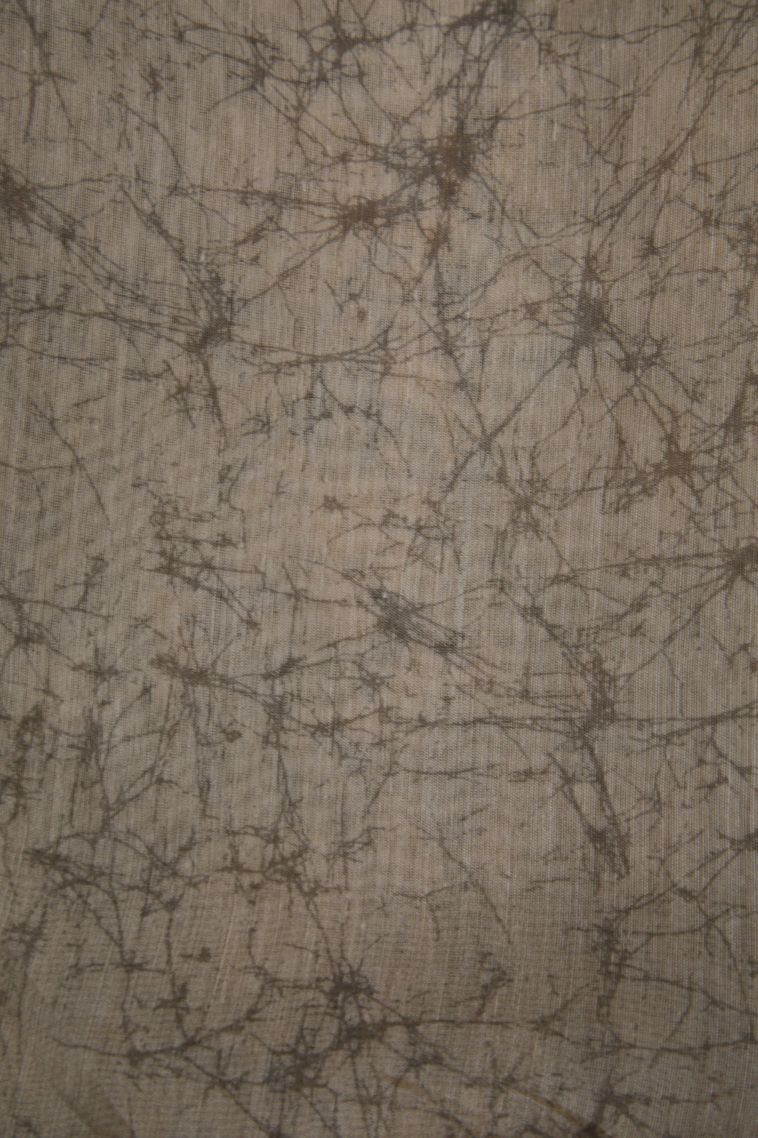 Pickle Green Fancy Saree with Without Zari Zari Floral Patterns view 3